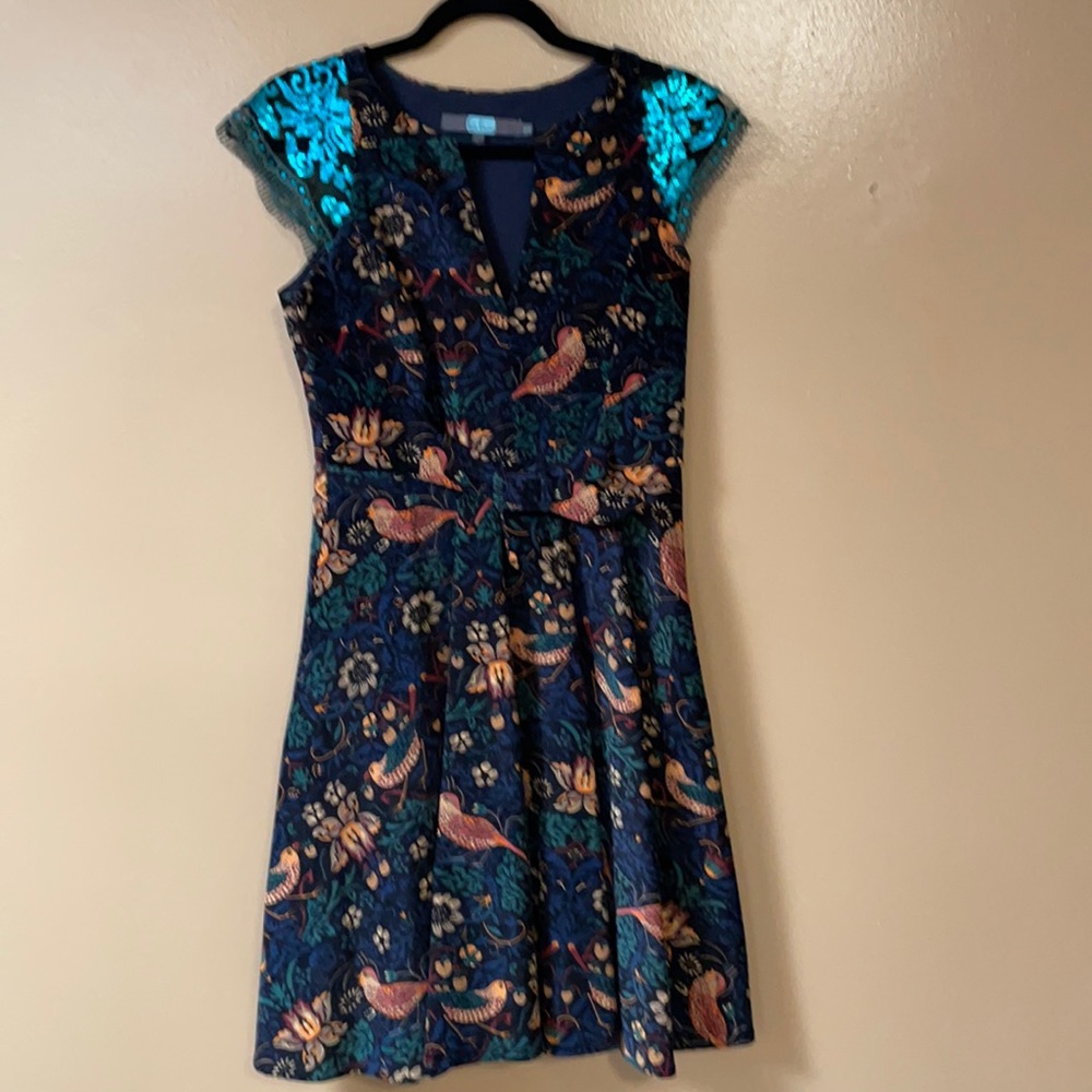 Eva Franco size 2 winter dress